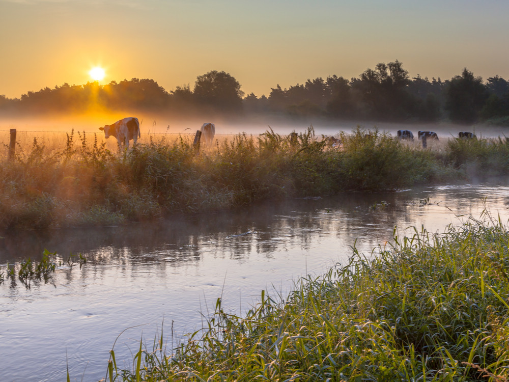 Ontdek landelijk Overijssel